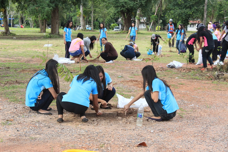 โครงการปลูกต้นไม้วันแม่  เนื่องในวโรกาสเฉลิมพระชนมพรรษา 81 พรรษา วันที่ 8 สิงหาคม 2556   คณะครุศาสตร์ มหาวิทยาลัยราชภัฏสุราษฎร์ธานี